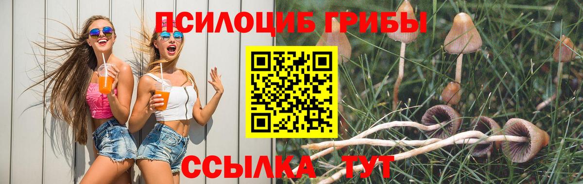 Псилоцибиновые грибы Psilocybe  Вход с VPN  Псилоцибиновые грибы MAGIC MUSHROOMS  закладка  Заинск 